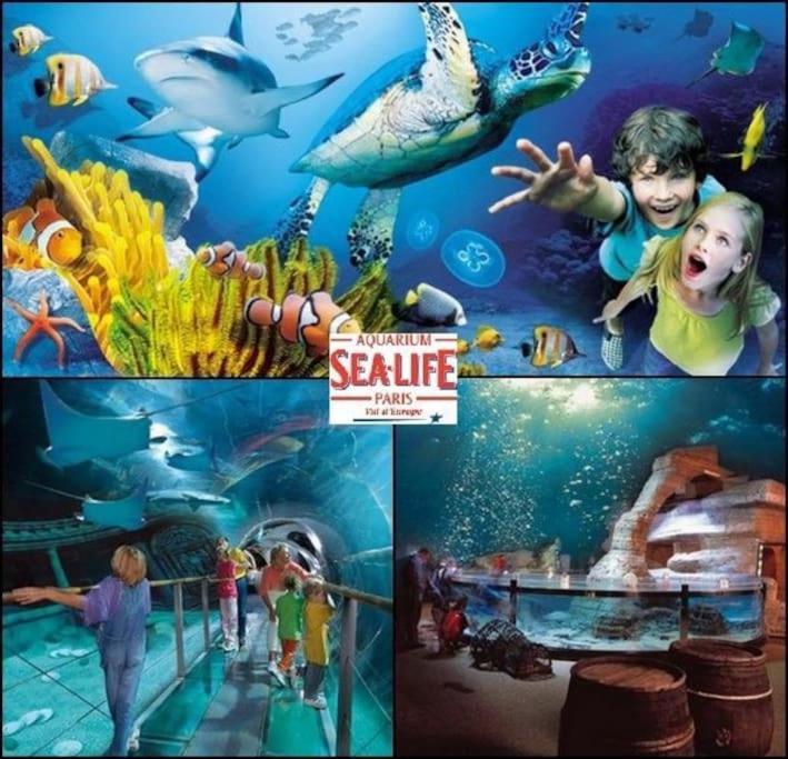 Disneyland Dream 4 - 7 Pax * Chessy (Seine-et-Marne)